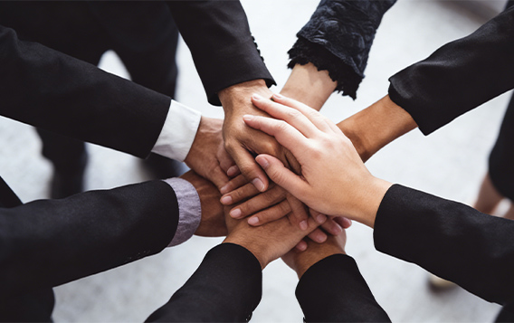 КОМПАНИЯ HAINING LILY CLEANING PRODUCTS CO.,LTD.